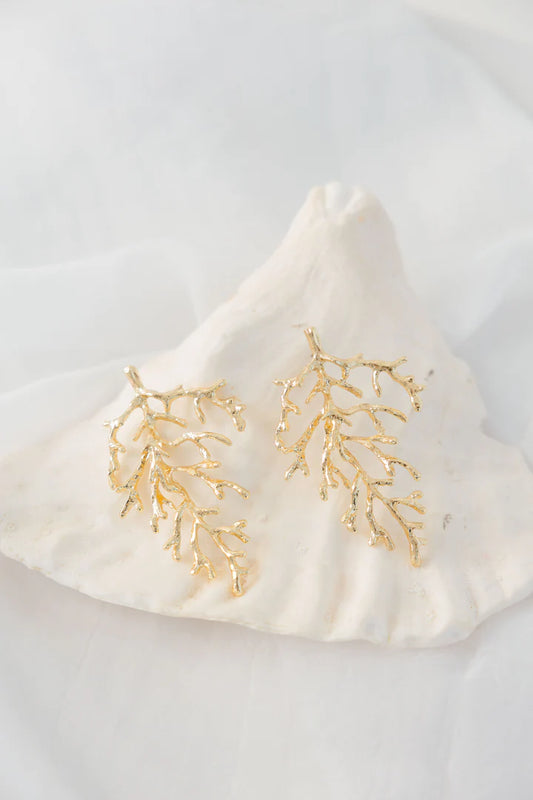 Reef Earrings 12A