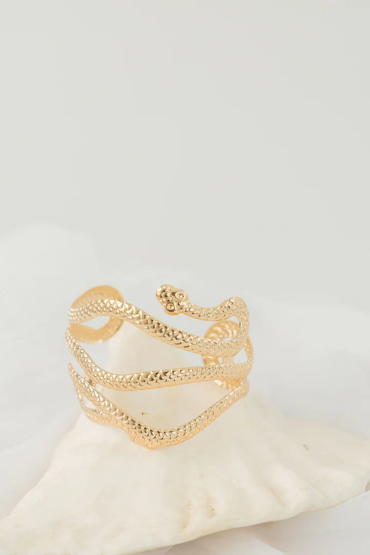 Serpent Bracelet 6D