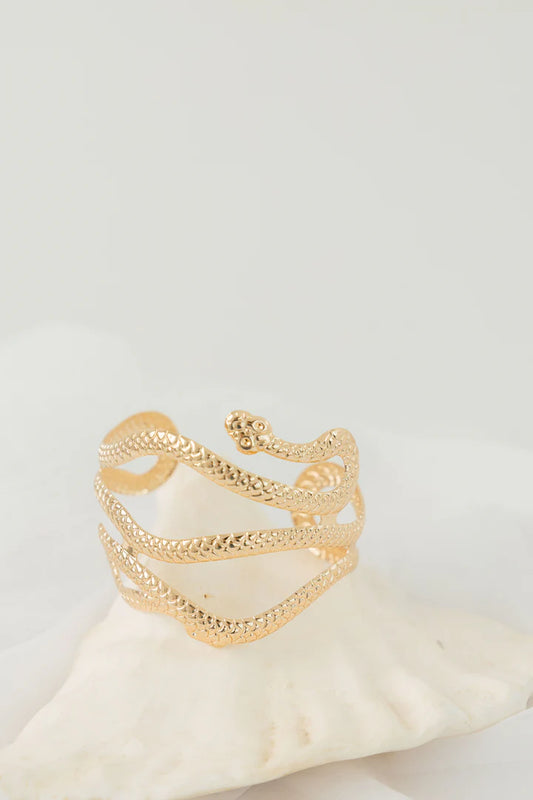 Serpent Bracelet 6D
